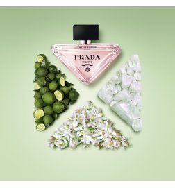 PARADOX Virtual Flower - Nachfüllbares blumig-moschusartiges Eau de Parfum PARADOX Virtual Flower - Nachfüllbares blumig-moschusartiges Eau de Parfum